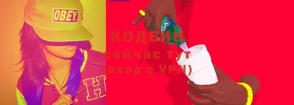 хмурый Богородицк