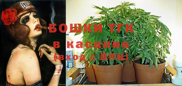 хмурый Богородицк
