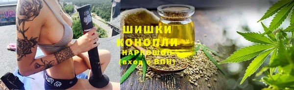 тгк Богданович