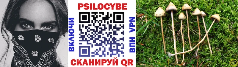 Галлюциногенные грибы мицелий Киреевск
